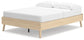 Ashley Express - Cabinella Queen Platform Bed