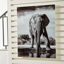 Load image into Gallery viewer, Ashley Express - Glinyard Wall Art
